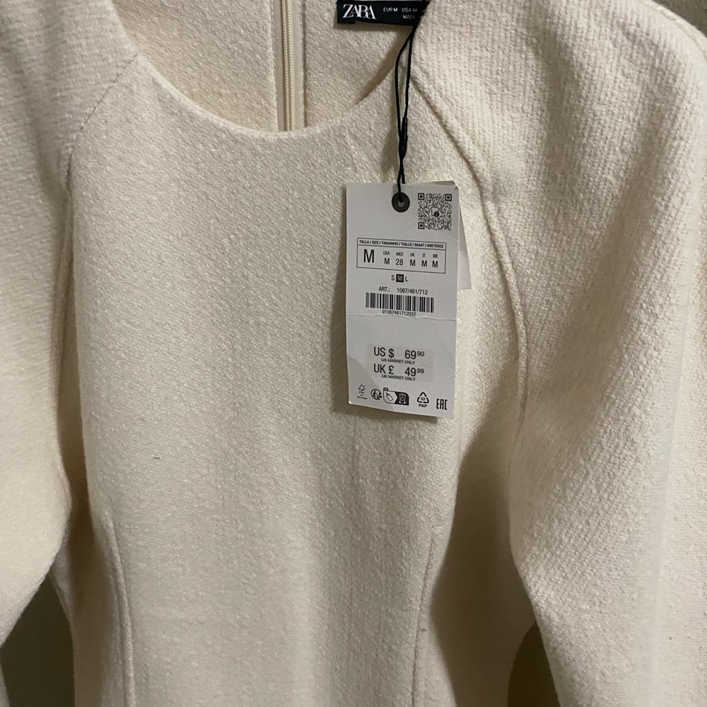 Voluminous Sleeve Dress